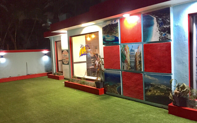 Tropical Caribbean Hostel