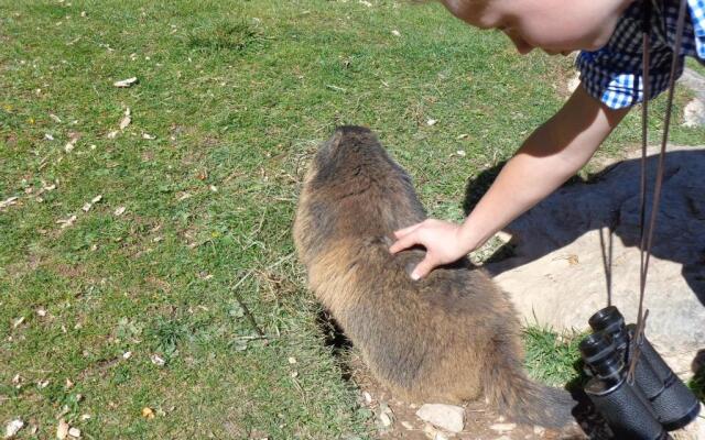 Ferienwohnungen Vierthaler