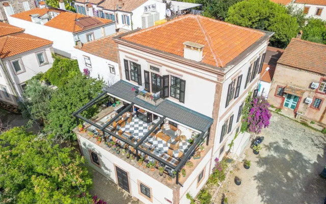 Siyah Lale Cunda 1841