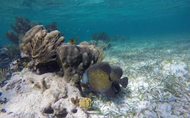 Brand new apartment, charming and family-friendly