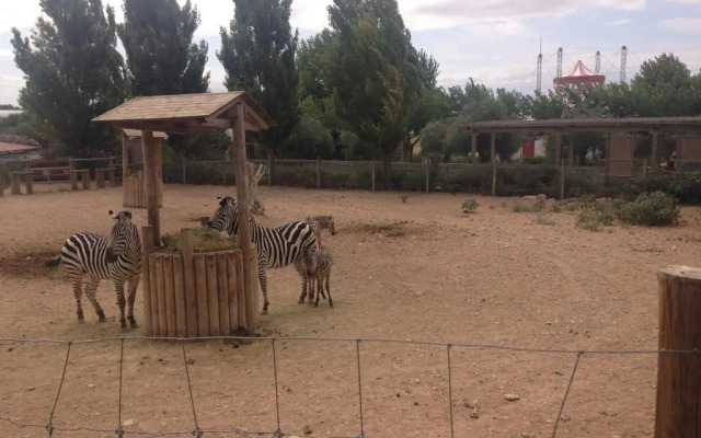 Apartamento Turistico Cigüeña de Arguedas