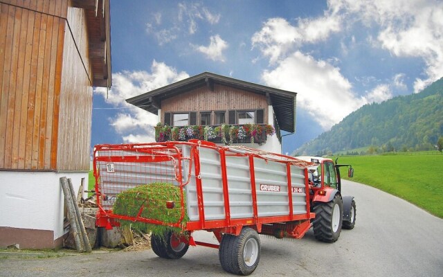 Nice Home in Walchsee With 4 Bedrooms and Wifi