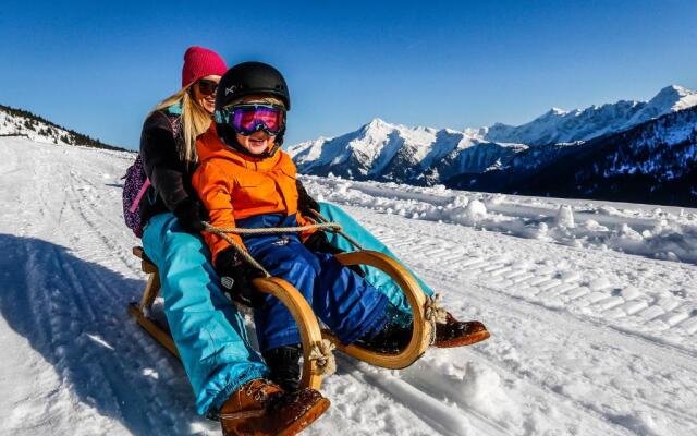 423 penthouse apartment Mayrhofen