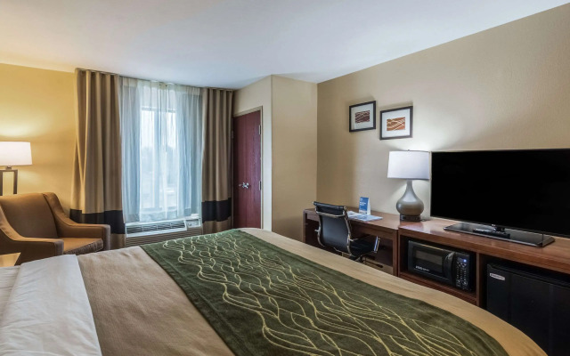 Comfort Inn & Suites Panama City North