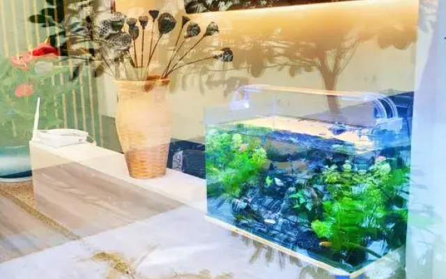 Luohe Fansen Homestay