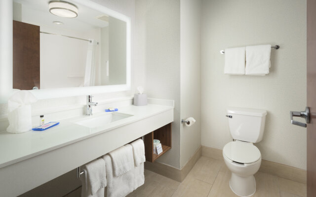 Holiday Inn Express Hotel & Suites Chattanooga Downtown by IHG