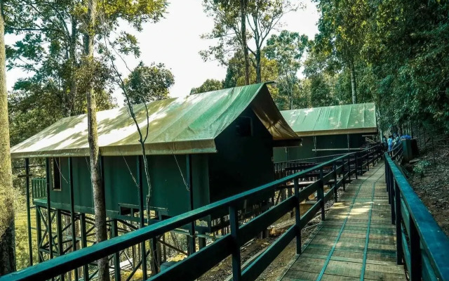Wild Planet Resort