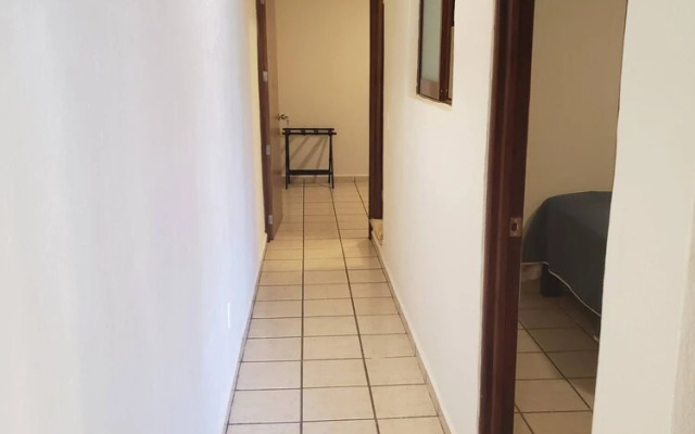 Vive La Zona Romántica En Puerto Vallarta