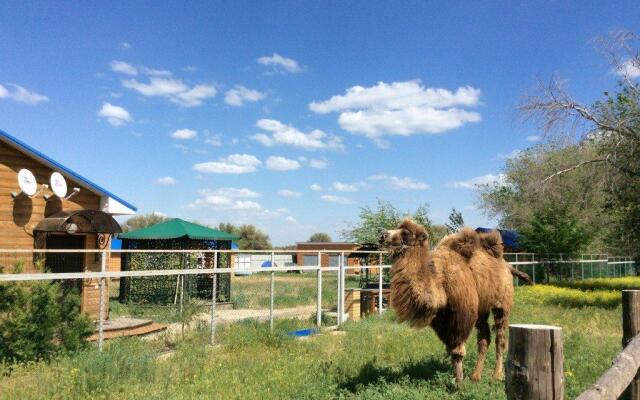 Рыбацкие просторы