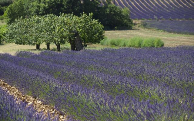 Les Appartements du Château