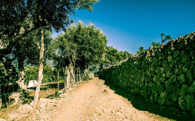 Hostel Soller