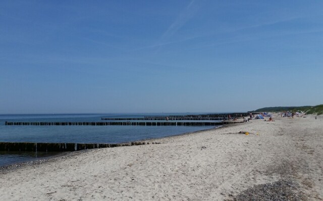 Spacious Holiday Home in Borgerende-Rethwisch with Terrace