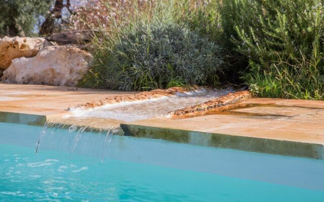 Azienda Agricola Spirdo