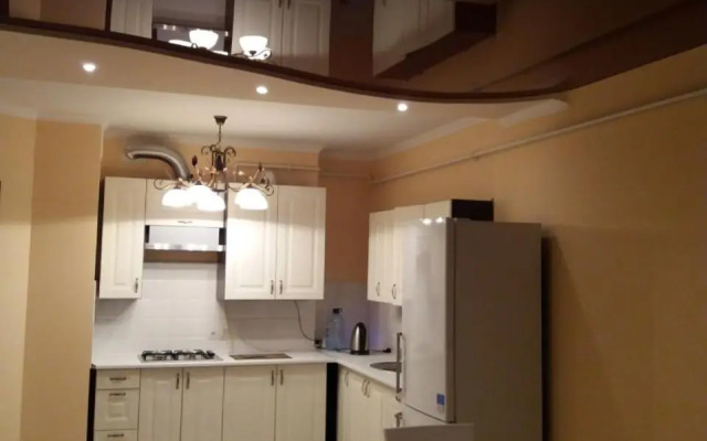 Шикарные апартаменты на ул.Княгини Ольги ,100К.