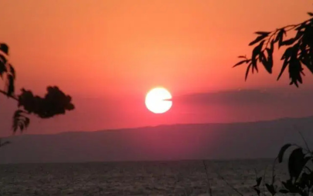 Gunes Yali