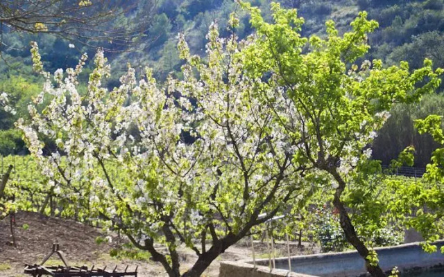 Casa Rural Sa Vall