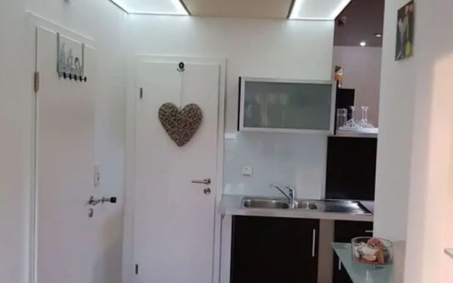 Swallow's Nest in the House by the Pond