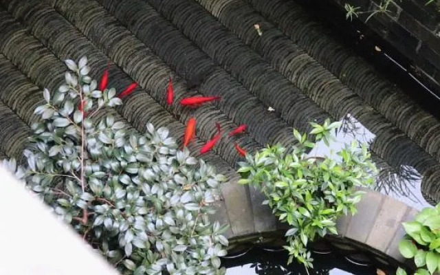 Shaoxing Dayue Xiaoyuan Culture Theme Hotel (Lu Xun's hometown Shenyuan Branch)