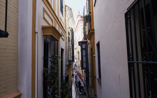 Santa Cruz Pearl by Valcambre