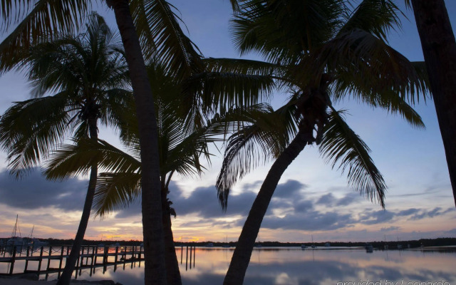 Coconut Palm Inn