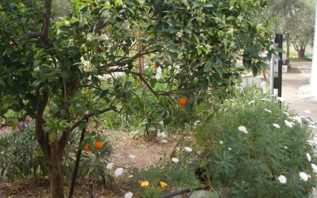 Spiti tou Papa sto Vouno