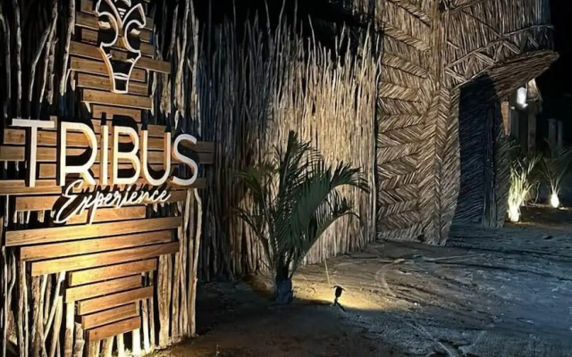 TRIBUS Experience Inn