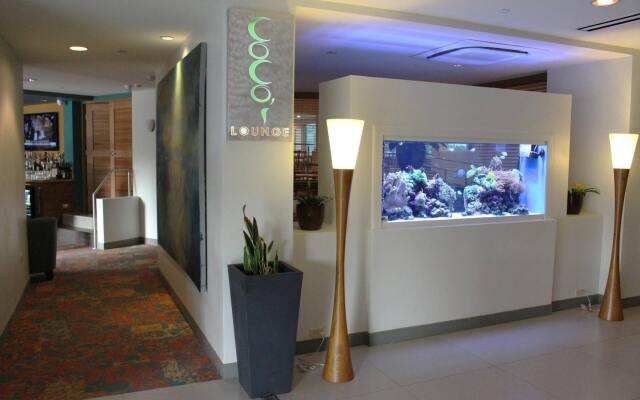 Condado Palm Inn San Juan, Tapestry Collection by Hilton