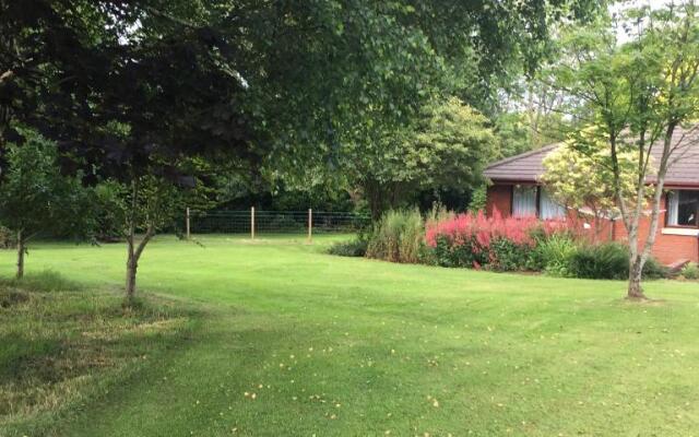 African Safari Guest Lodge