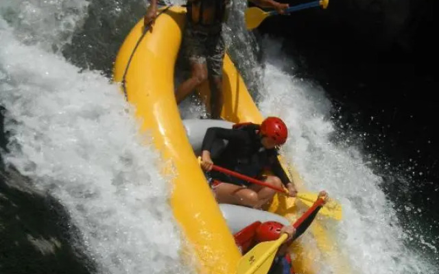 Jungle River Lodge