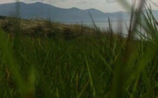 Shores Country House Bed & Breakfast