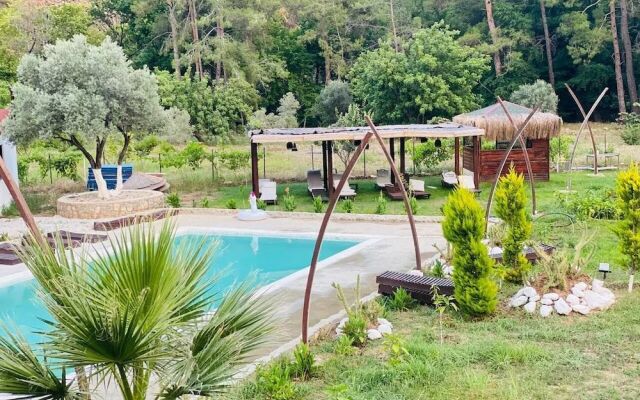 Zirkon Vadi Village Hotel