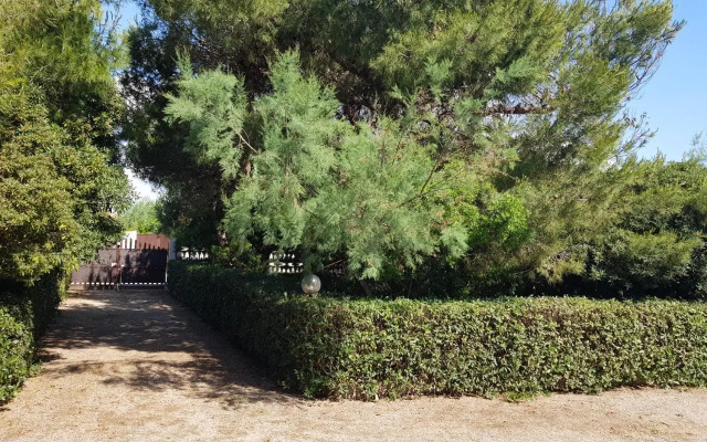 Villa Cino