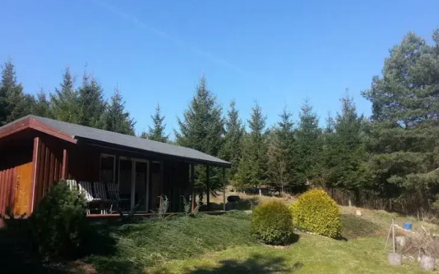 Domek w Dolinie Drwęcy