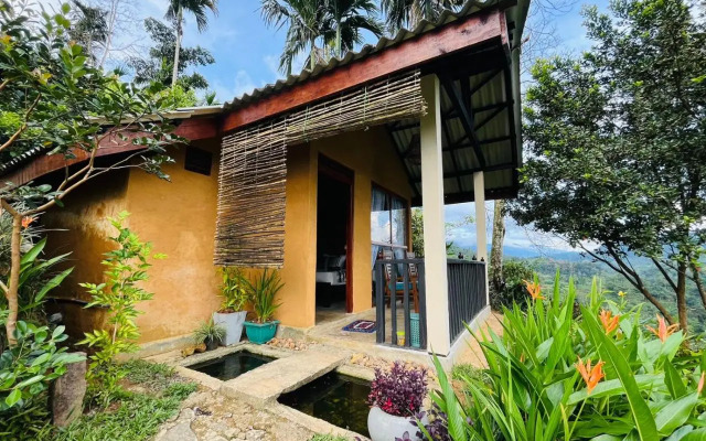 Rainforest Nature House