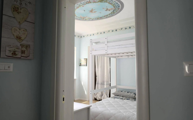 View of the vineyards