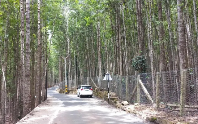 Istays Loop Road