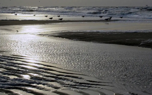 Holiday Apartment Svantevit