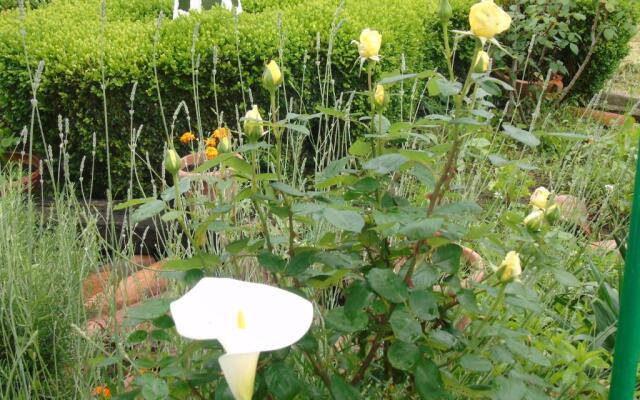 Zikoinaren Txokoa ( El Txoko de la cigüeña )