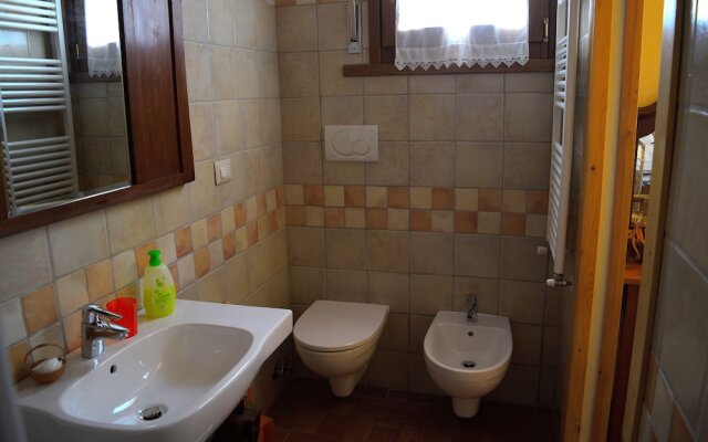 B&B Animali Selvaggi