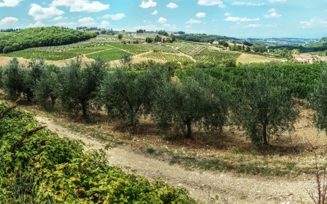 Home Boccaccio Terrace and Chianti View 1