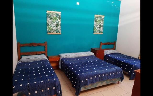 Plaza Hostel