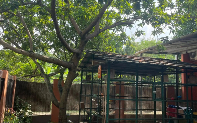 Bu Sur Homestay – Outside – Cibinong
