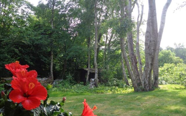 Green Hill Guest House and Apartment