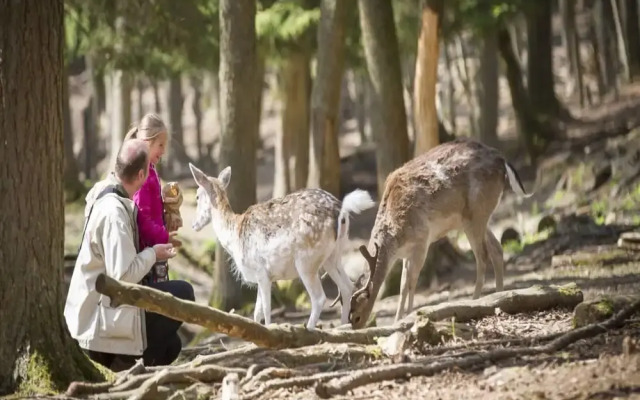 Peaceful Apartment With Pool