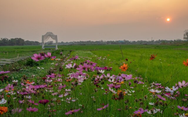 Rosario Oasis Resort - SHA Plus