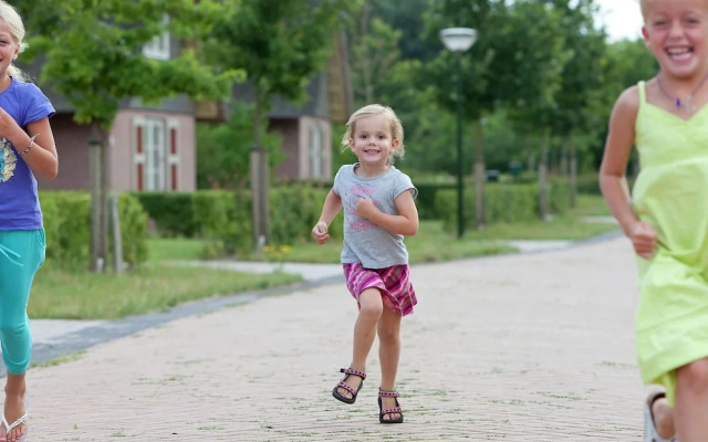 Stately, Luxury Villa With 3 Bathrooms, 2 km. From Appelscha