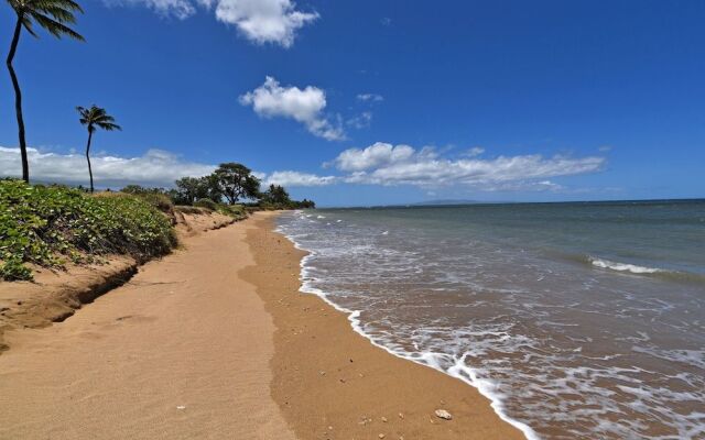 Kauhale Makai 203 - 1 Br Condo