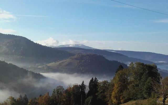 Appartement Le Menil, 1 pièce, 2 personnes - FR-1-589-164