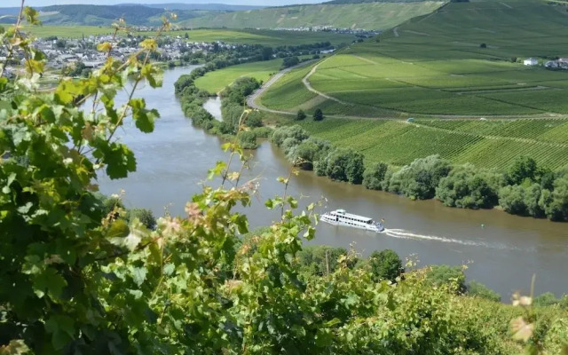 Weingut Pension Gunther Scholtes
