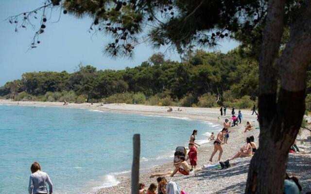 Apartment 50m from sea!